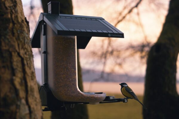 Kilmalieu - Bird Feeder