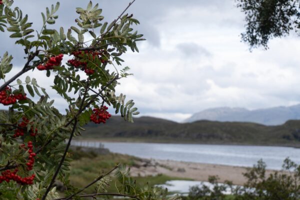 Kilmalieu - View of Loch Linnhe